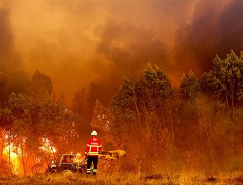 feuer algarve|Portugal battles wildfires amid third heatwave of the year